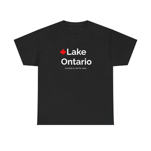 Lake Ontario Tee